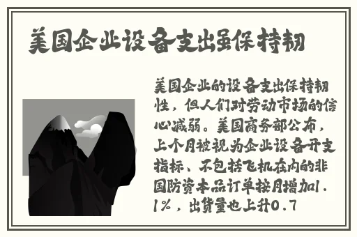 苏畅回来了
